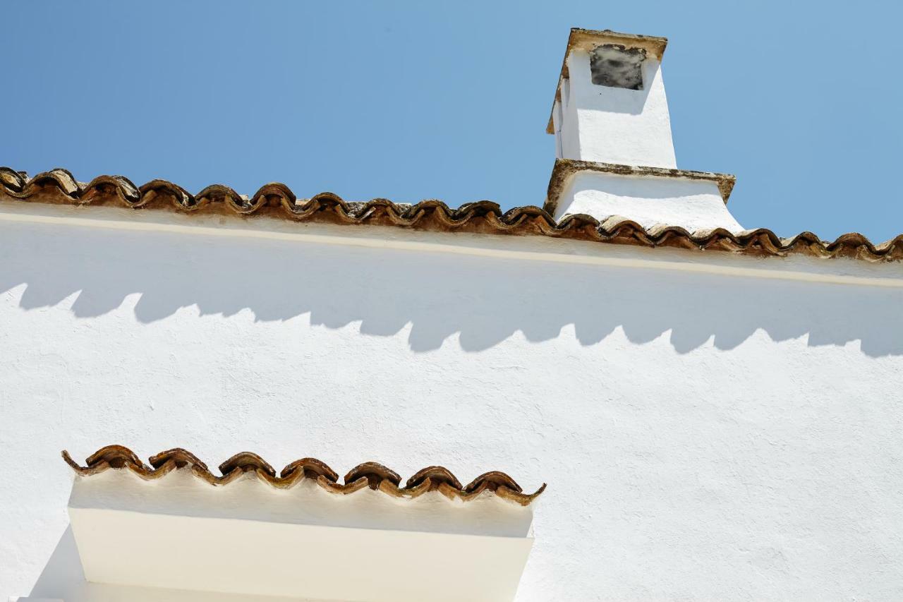 Agapanto Masseria Bed & Breakfast Conversano Bagian luar foto