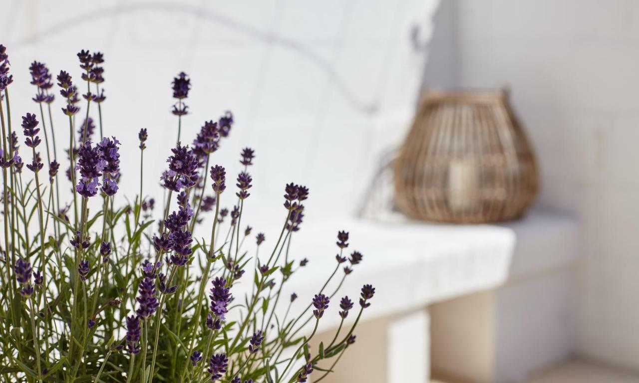 Agapanto Masseria Bed & Breakfast Conversano Bagian luar foto