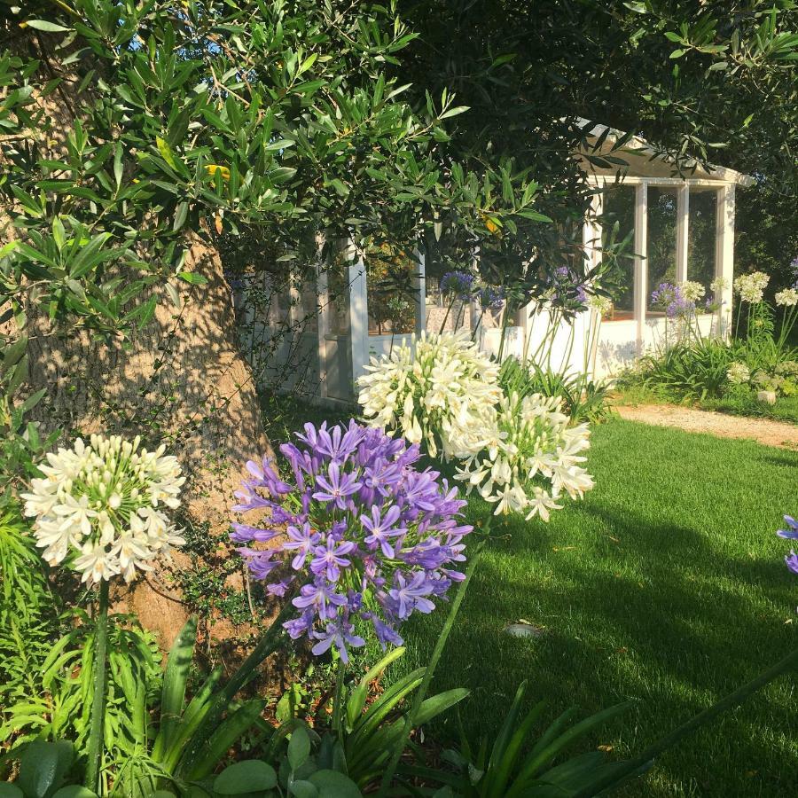 Agapanto Masseria Bed & Breakfast Conversano Bagian luar foto